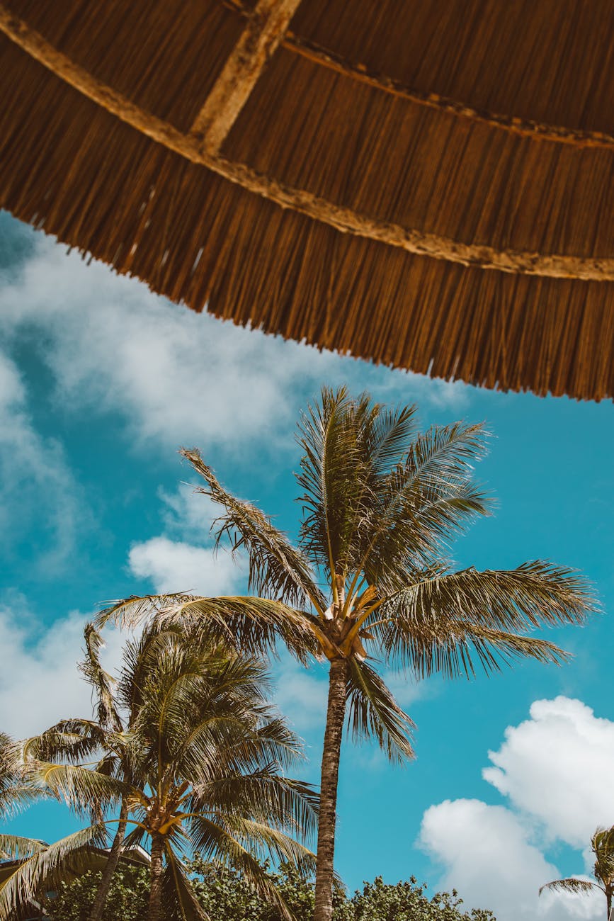 Weekend Getaway in Hawaii – My Favorite Chill&nbsp;Spots